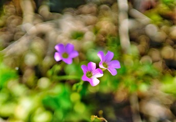 B8D3466E-616A-4490-90FE-D07B676B87B3/L0/001