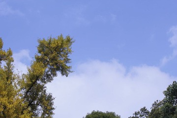 _MG_0900.jpg