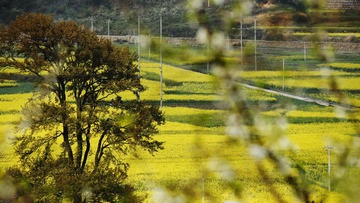 _MG_3127.jpg
