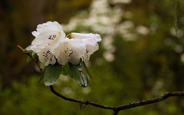 _MG_5019.jpg