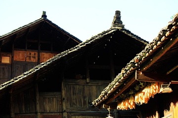 _MG_6608.jpg
