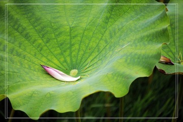 _MG_6902.jpg