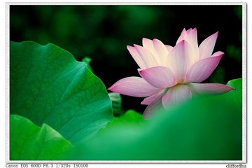 _MG_6907.jpg