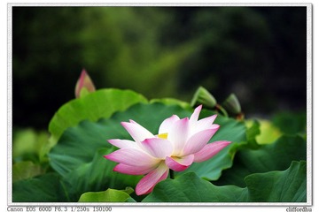 _MG_6920.jpg
