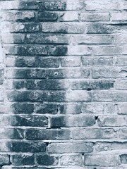 262F459F-25EF-4553-A93E-D6DEBB1C57DC/L0/001