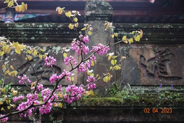 D524EC19-726A-4F65-A65D-27B92F2942C8/L0/001