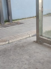 2864202