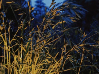 3B7E7766-505F-41EA-B101-E4271AE0C628/L0/001