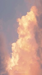 DF75D481-92C4-437F-82D4-38421A6C39E4/L0/001