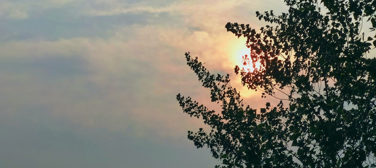 每天早上初升的太阳与初暮降临的微光,总是那么的诱人