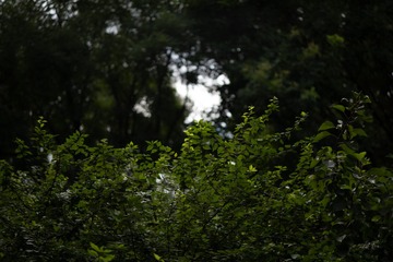 819471
