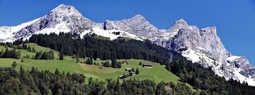 _MG_2848.jpg
