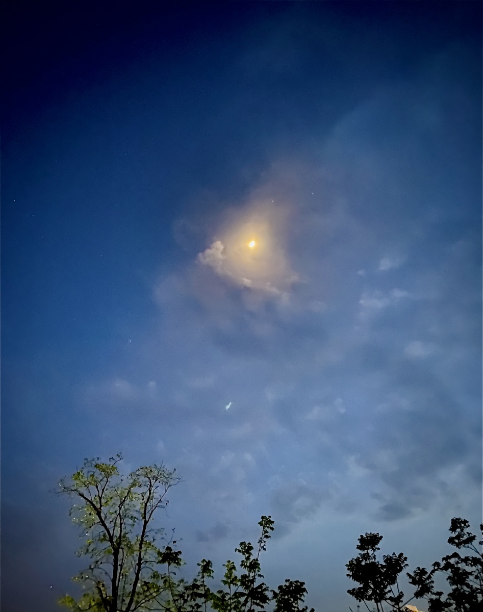 家乡的夜朦胧且温柔