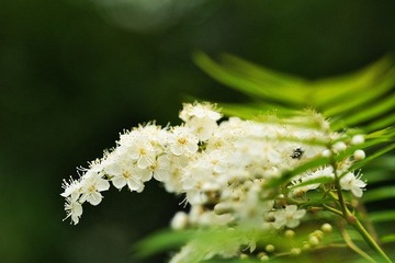 小小的
