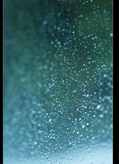 雨斑