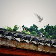 腾空