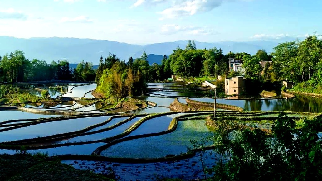 云南省红河州元阳哈尼族自治县元阳梯田多依树坝达老虎嘴