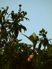 2F320524-2F4C-49B2-932C-E2614F40AA33/L0/001