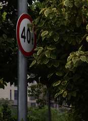 A556F873-D883-4050-8B9F-C8DCF963FD4F/L0/001