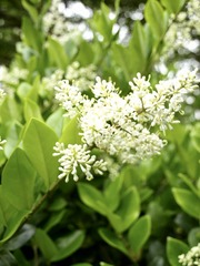 F7BC5DC9-3AAA-4CBD-9E93-F3E658B4CDAF/L0/001