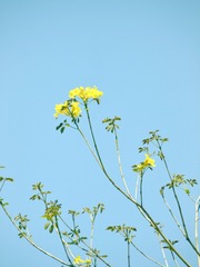 53753EBF-5FF6-4142-908D-164A8FF9833F/L0/001