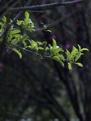 AB6B1DD7-6E1F-4365-B496-030A36B00721/L0/001