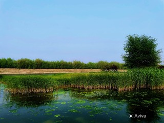 D890FD66-4365-4474-99C6-F22D900E15B7/L0/001