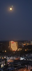 1000013171