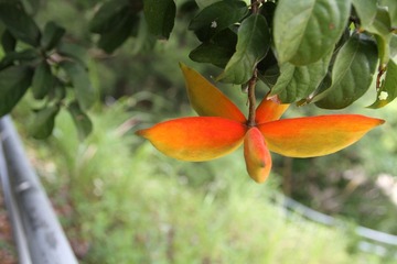 IMG_1517.JPG