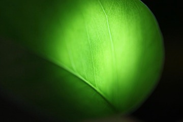 IMG_2576.jpg