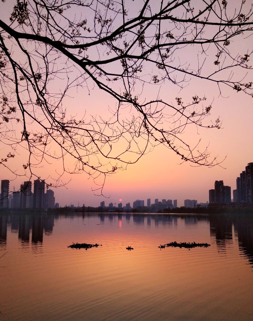 临近大学毕业，珍惜着已经不多的属于学生的时光，在学校周围四处闲逛，心态祥和，静等毕业到来，晚霞似乎也很懂我的心情，在天空另一端静美。