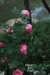 F7D46B9D-6BBD-4E9B-939C-27ABB7C9EF09/L0/001