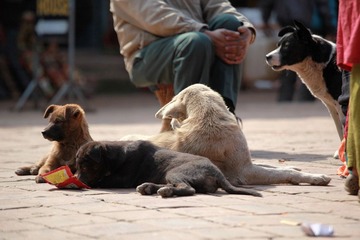 IMG_7918.jpg