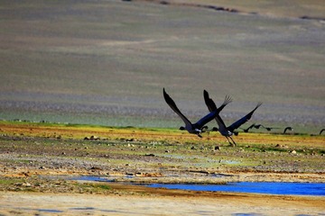 IMG_2974.jpg