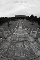 IMG_9429.jpg