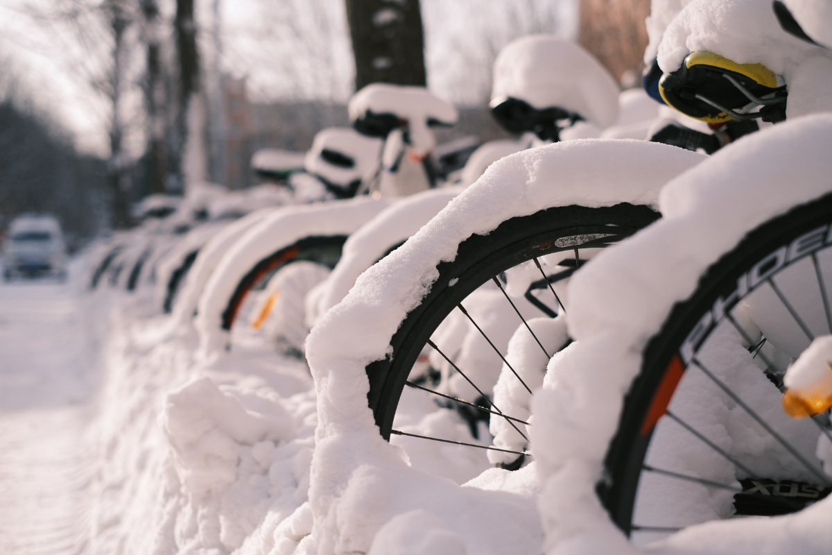 十余年不遇的大连大雪