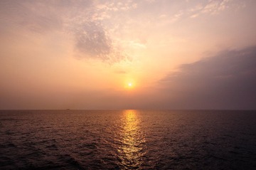 _DSC8388.jpg