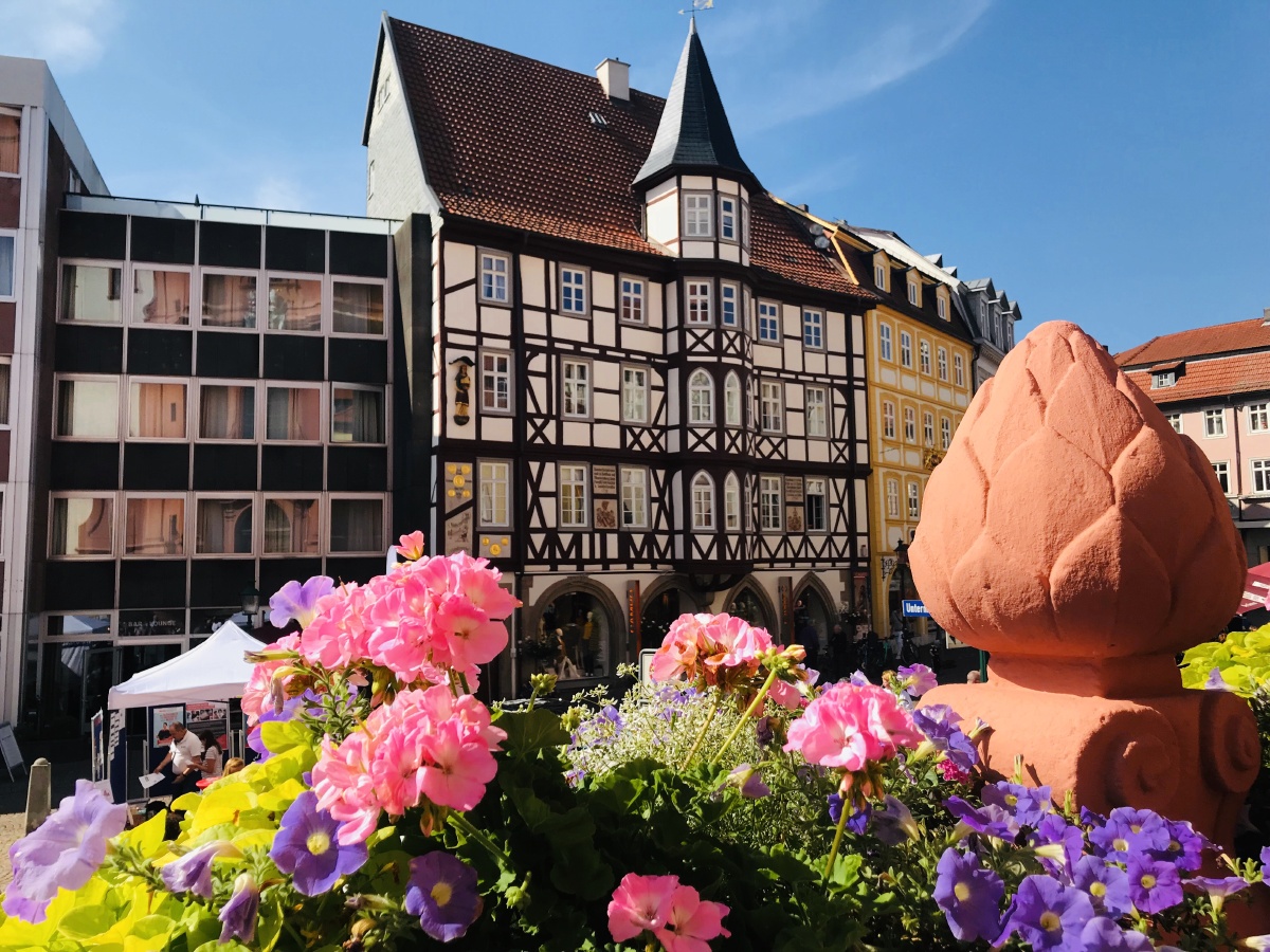 拍摄于德国黑森州富尔达fulda小镇从市中心小教堂台阶前的花束丛视角