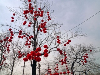 P1040143.jpg