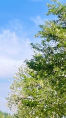4B17118F-CE20-416C-AECE-7789E863291C/L0/001