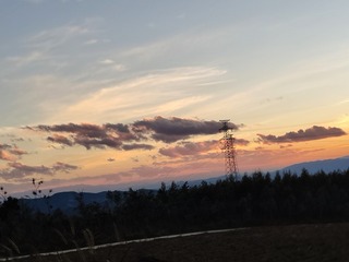 280306
