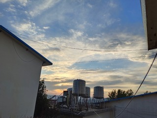 281518
