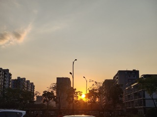 1000036779