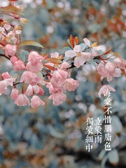 73A6F626-E64E-4D01-A471-687F40A4AF72/L0/001