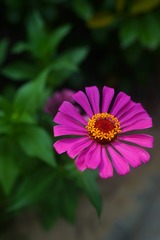 A8D5FF5D-ED76-4DD1-9234-D172EB0F4027/L0/001