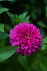 970C581C-0608-4F1D-8A87-996F1B6A4FD5/L0/001