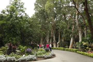 士林官邸风景