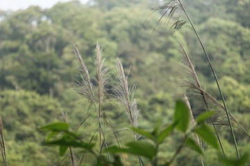 日月潭的晨景 4