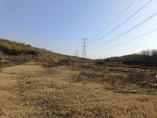 1000244642