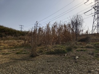 1000244627
